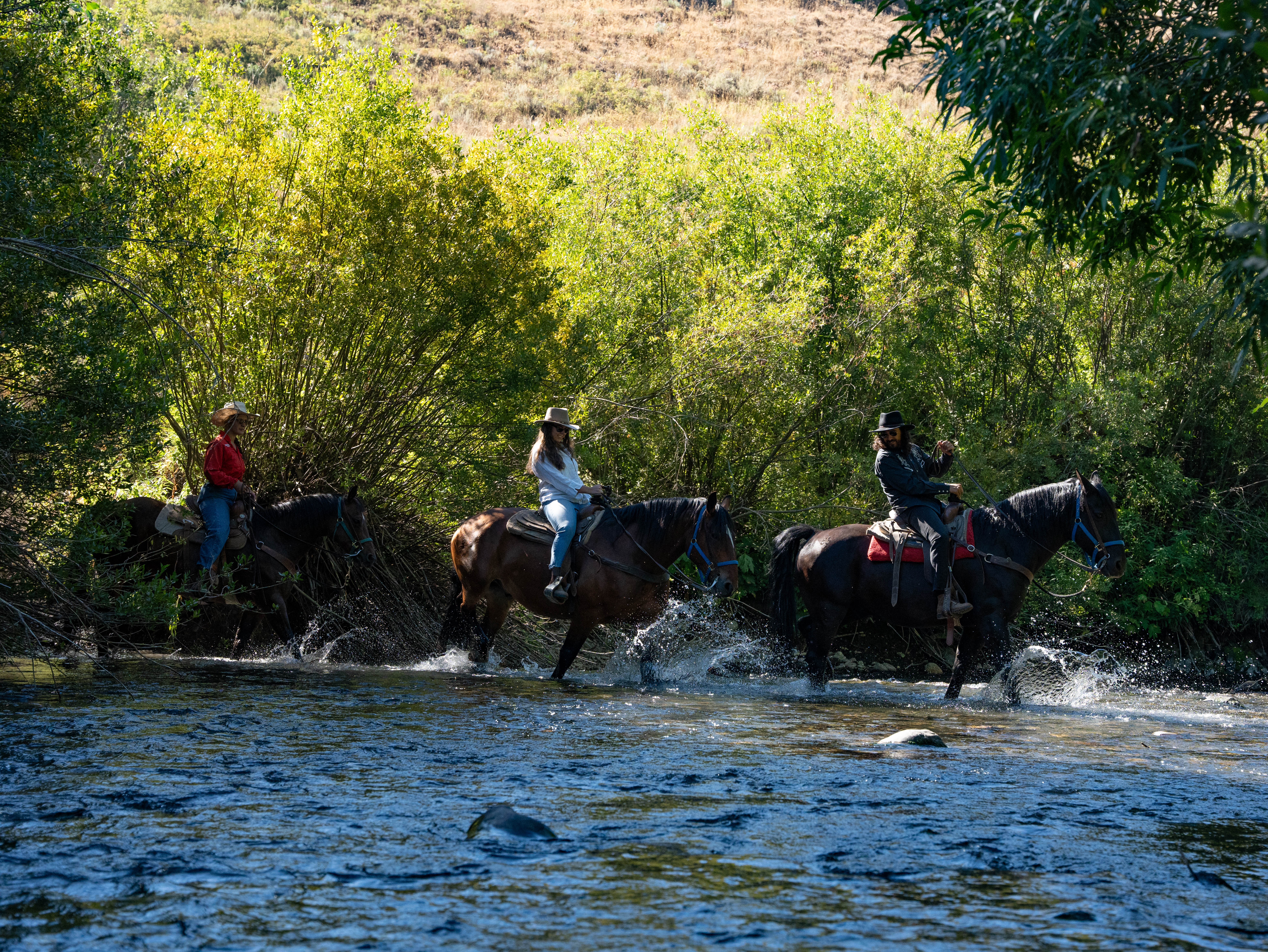 Horseback store trail riding